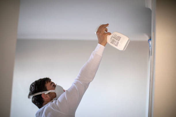 Best Commercial Mold Removal  in Pirtleville, AZ