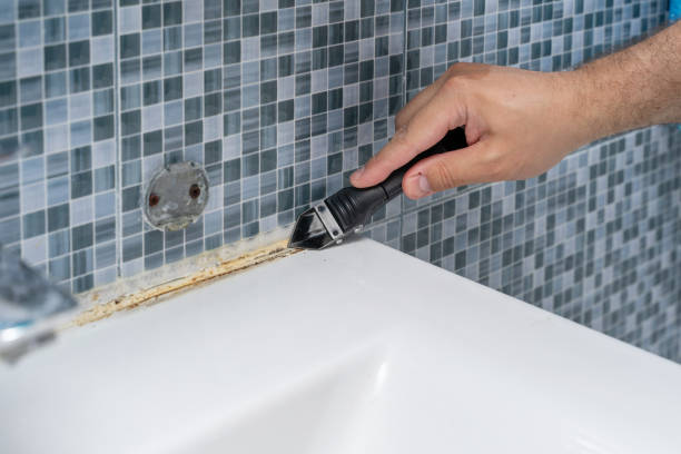 Best Certified Mold Removal  in Pirtleville, AZ